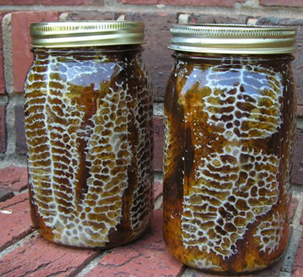 Mason Jar Honey Harvesting System: Simplifying Beekeeping in a Creative Way