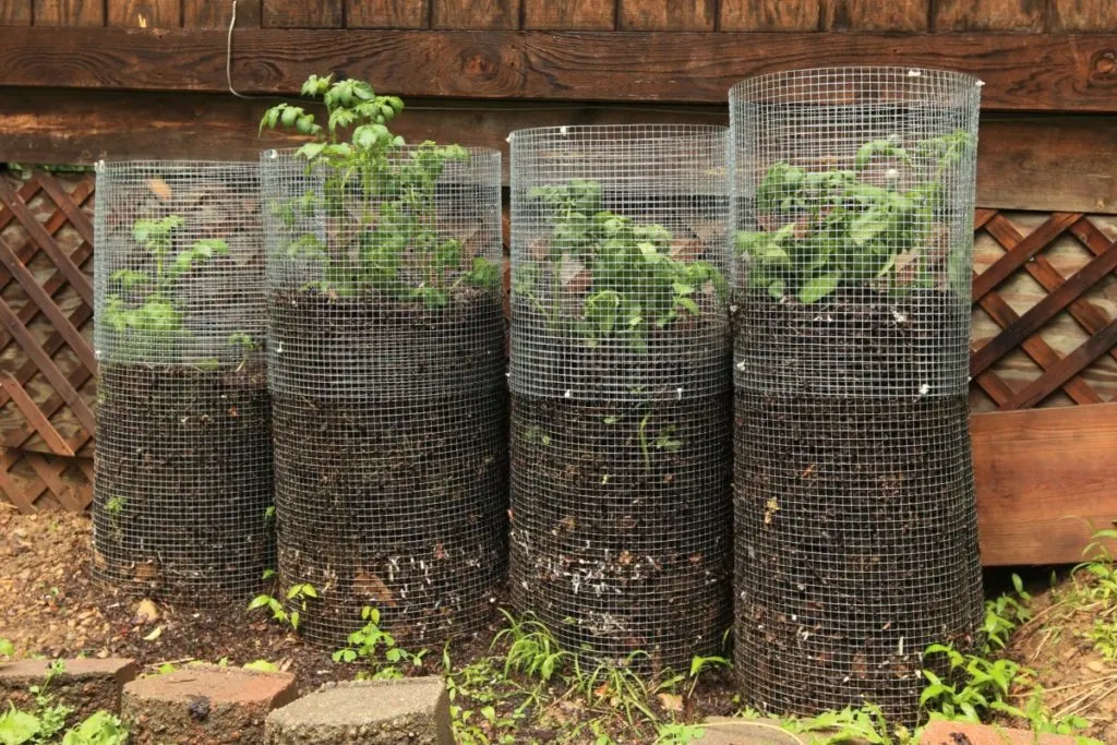 How to Build a Potato Tower: A Step-by-Step Guide to Efficient Gardening