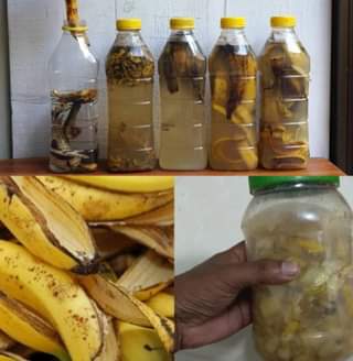 Don’t Toss Those Banana Peels! Discover Their Hidden Powers