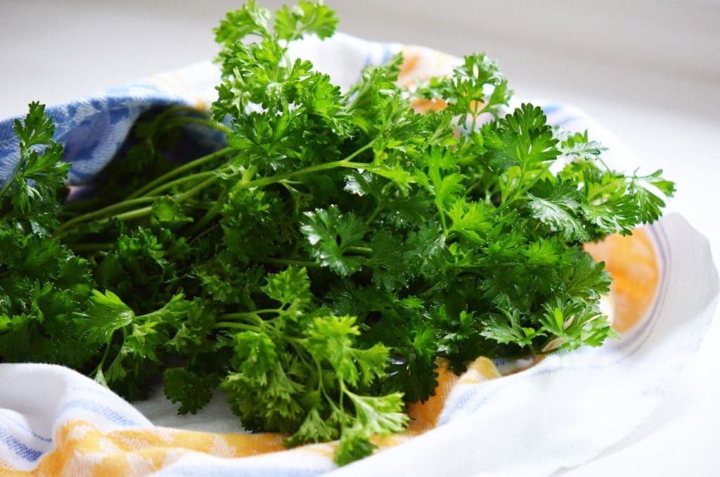 How to Keep Parsley Alive and Fresh for Months: A Chef’s Trick