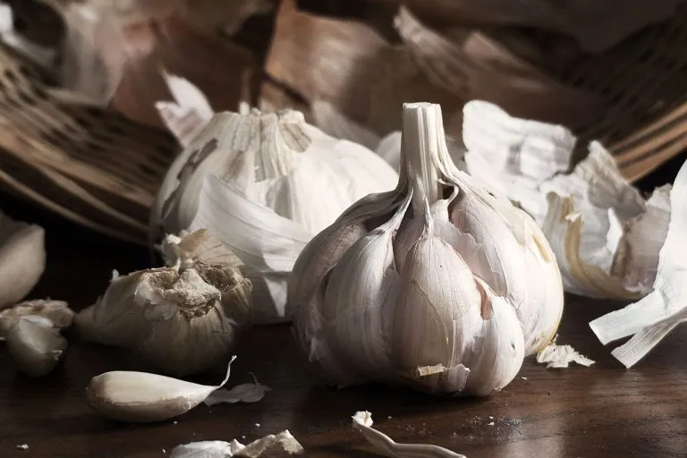 The Amazing Health Benefits of Garlic