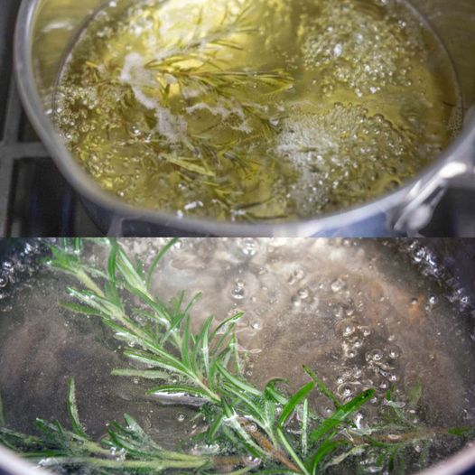 Discover the Magic of Rosemary: A Homemaker’s Secret Weapon