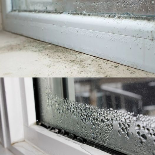 Clear Your View: How Moisture Absorbers Can Eliminate Foggy Windows