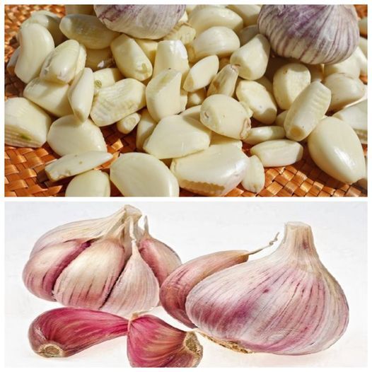 11 Secrets about Garlic you didn’t know – I wish I had known them sooner