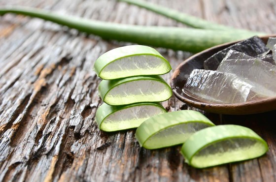 Sip Your Way to Amazing Health: The Wonders of Daily Aloe Vera Juice