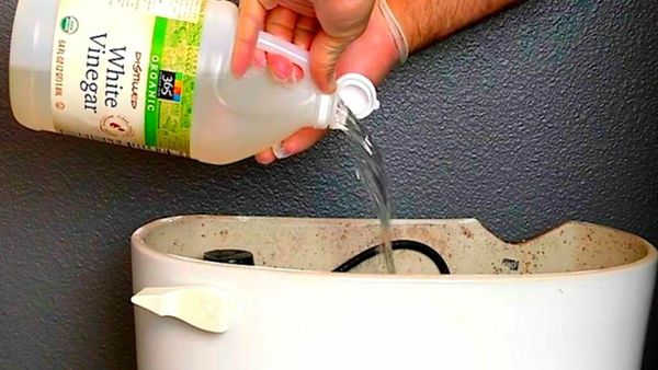 The Easy Way to Keep Your Toilet Sparkling Clean