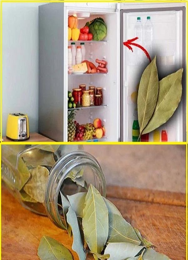 A bay leaf in the refrigerator? My grandmother always did it. Here’s why and how.