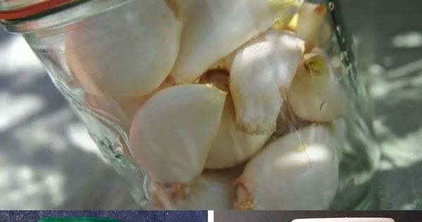 Keeping Garlic Fresh: A Simple and Effective Method