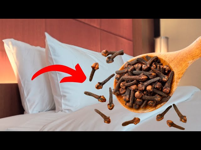 The Clove-By-Pillow Trick: A Night of Surprising Benefits