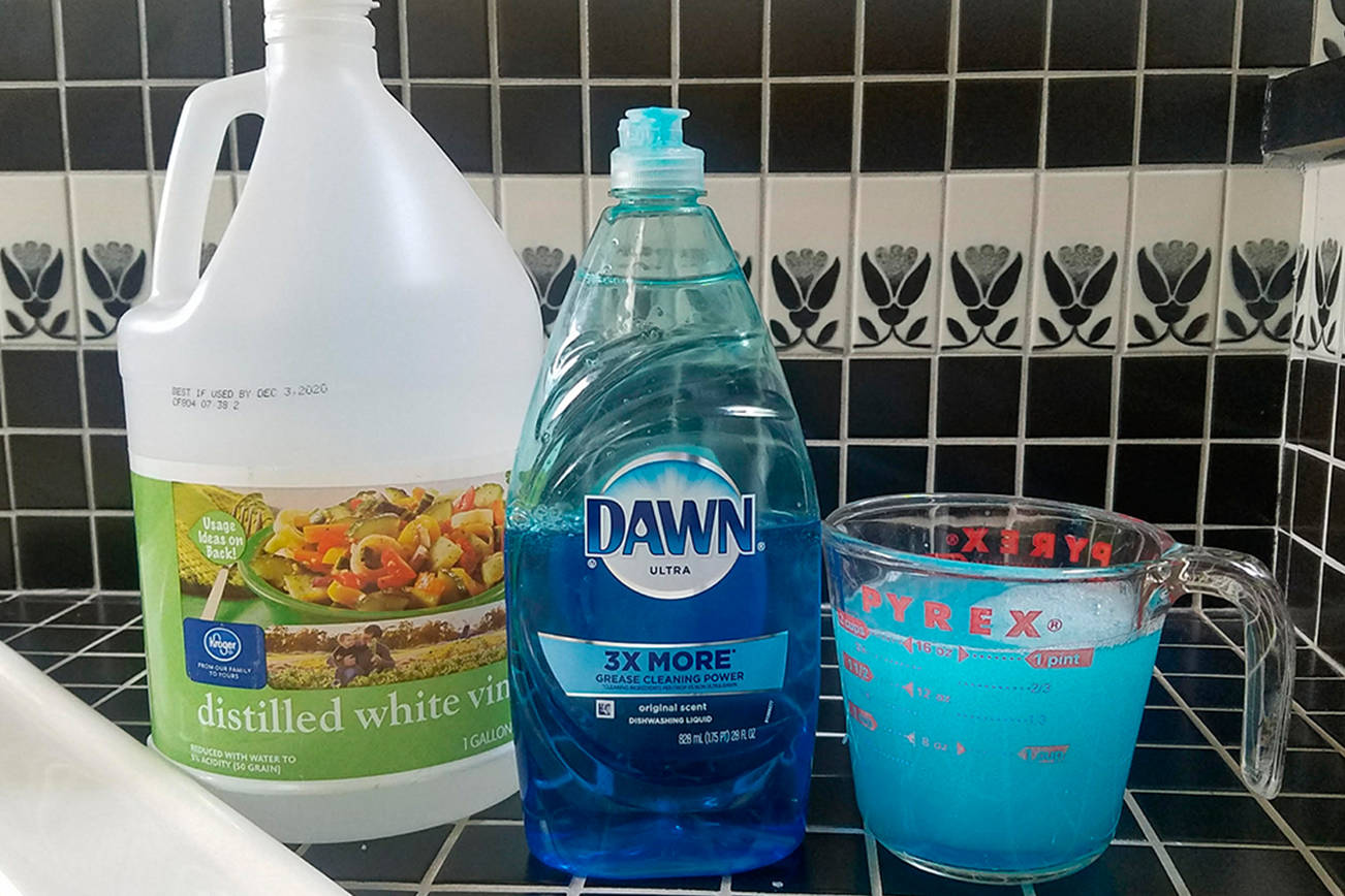 Banish Mold and Limestone with This Simple Duo: Dish Detergent and Vinegar