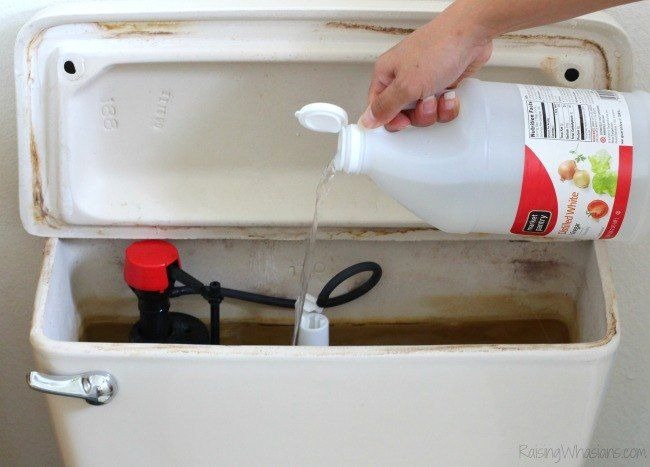 DIY Natural Toilet Cleaner + 6 Bathroom Toilet Cleaning Tips