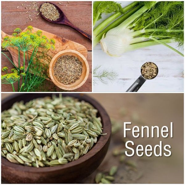 The Wonders of Fennel Seeds: A Pinch of Goodness for Your Well-being