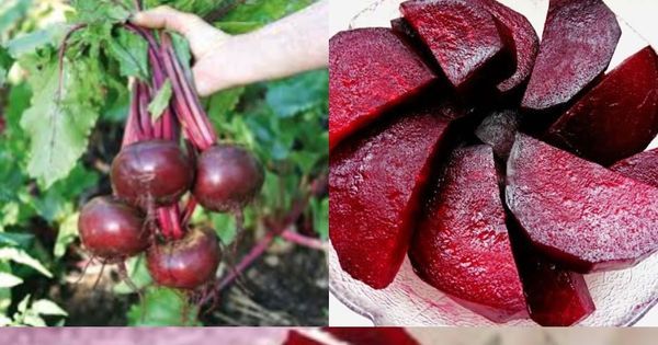 The Power of Beets: Unlocking the Nutritional Secrets