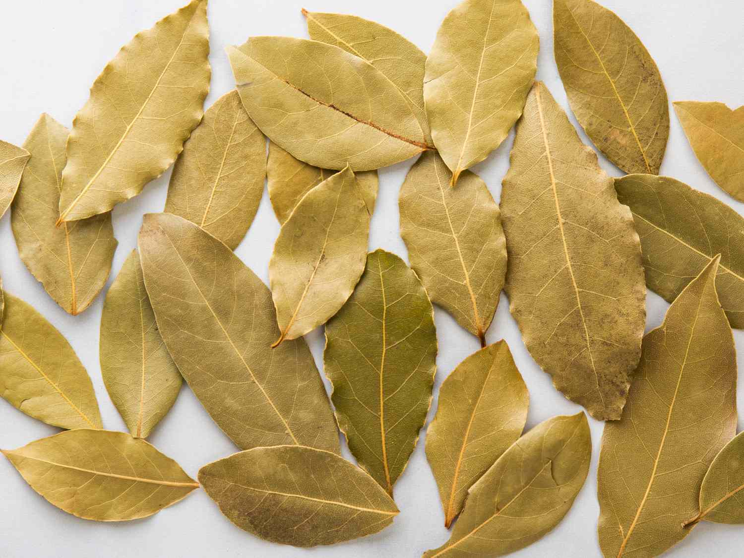 Unlocking the Secret: Bay Leaf, Nature’s Answer to Youthful Skin