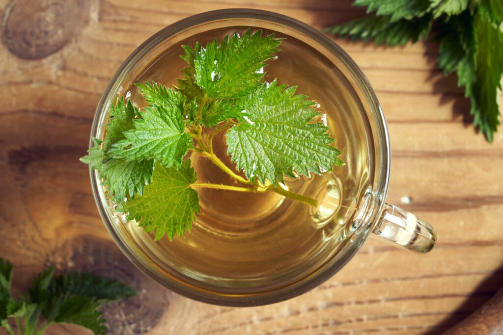 Stinging Nettle Tea: A Nutrient-Packed Elixir