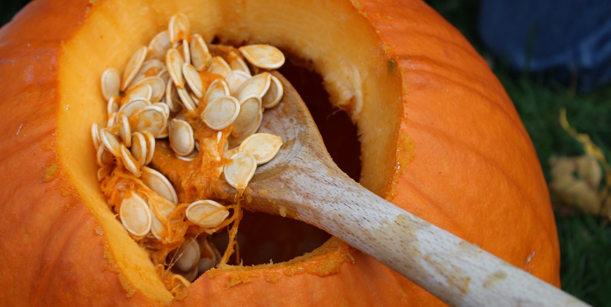 Unlocking the Wonders of Pumpkin Seeds: A Treasure Trove of Health