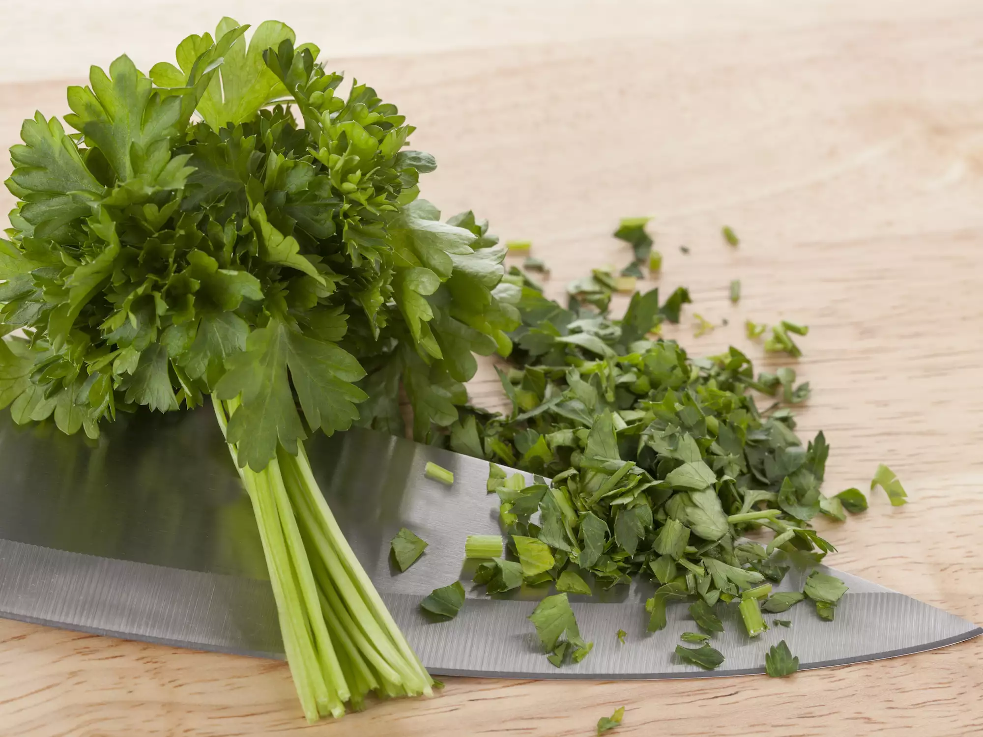 Fresh Cilantro, Longer: The Ultimate Coriander Saving Tip