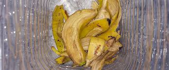 Discover the Hidden Treasures of Banana Peels