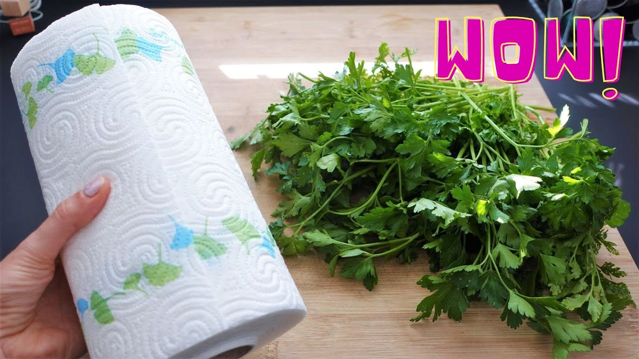 Preserving Parsley’s Freshness: Tips for Storing It for Over a Month