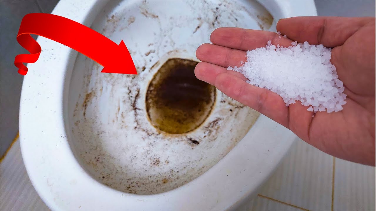 The Salt Solution: Your Secret Weapon for a Sparkling Toilet