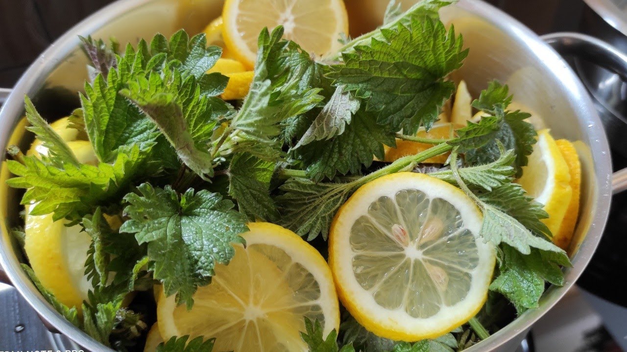 A Refreshing Twist on Wellness: Homemade Nettle and Lemon Juice