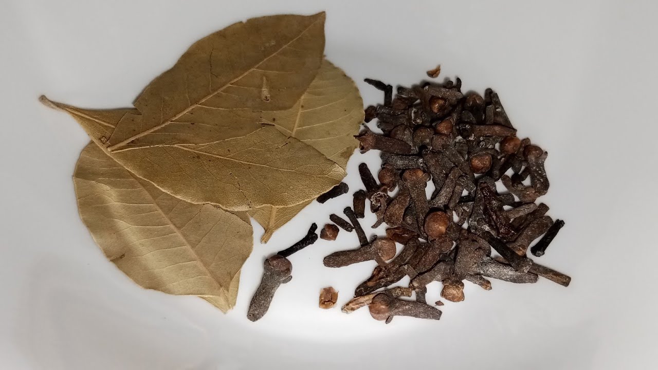 Unlocking the Secret of Bay Leaves: A Natural Solution to Pest Problems