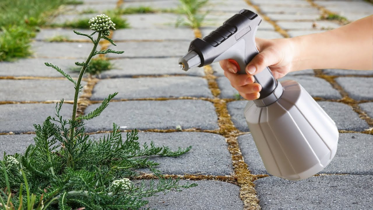 Discover the Power of Nature’s Own Herbicide: Bid Farewell to Weeds in Just Minutes!