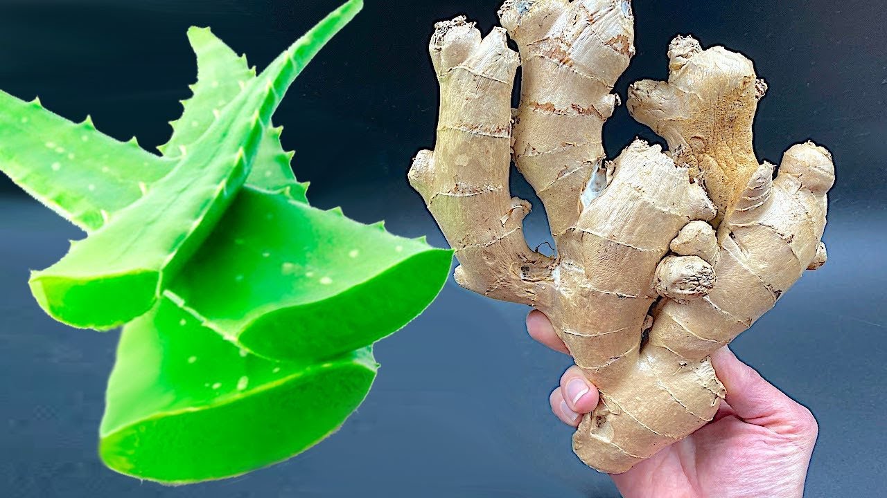 Discover the Secret to a Decade of Good Health: Aloe Vera and Ginger