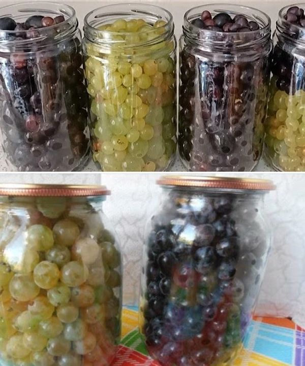 Savoring Grapes All Year Round: The Secret Preservation Method