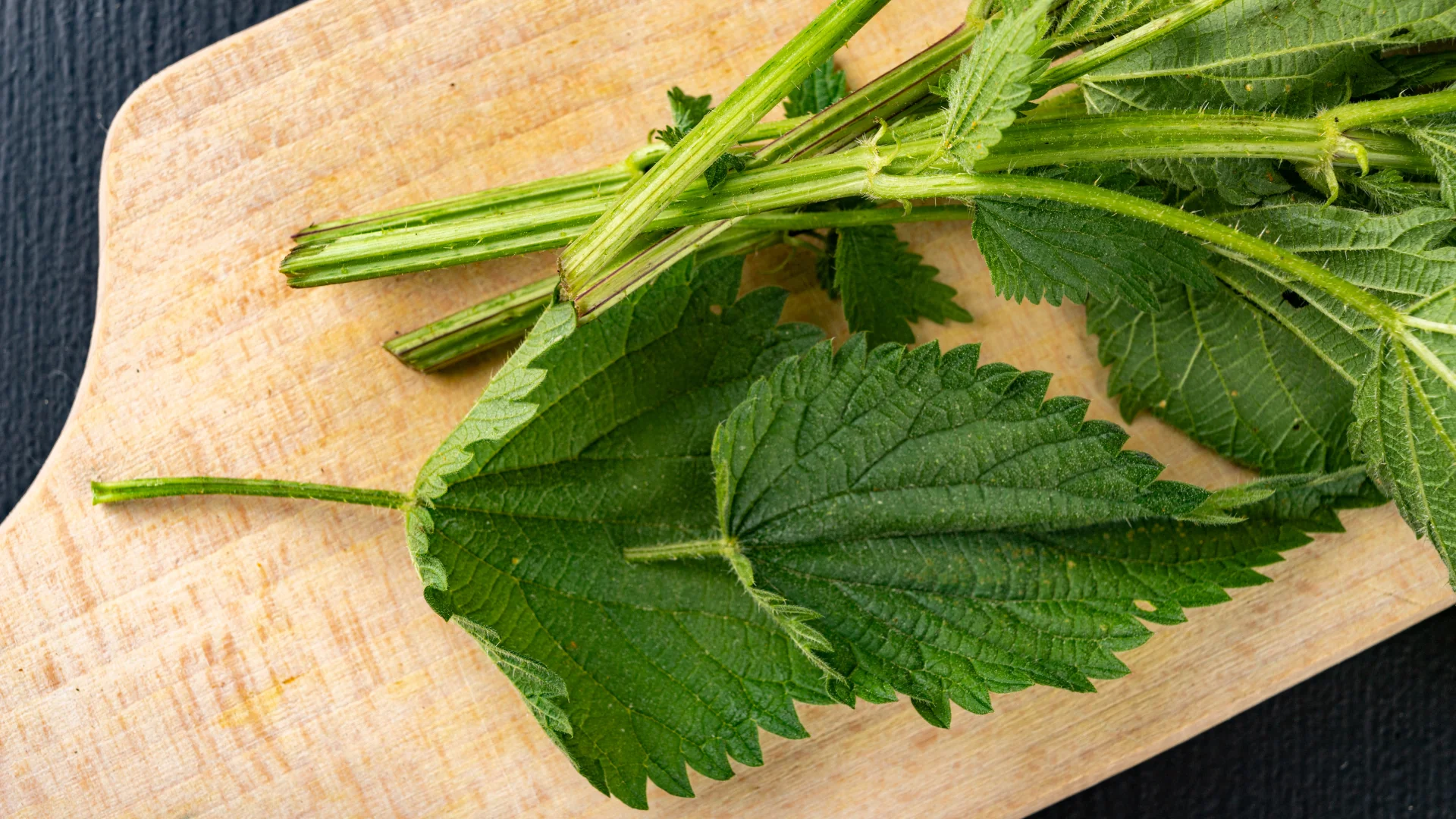 Nettle Dish: A Delightful Twist for Better Evenings