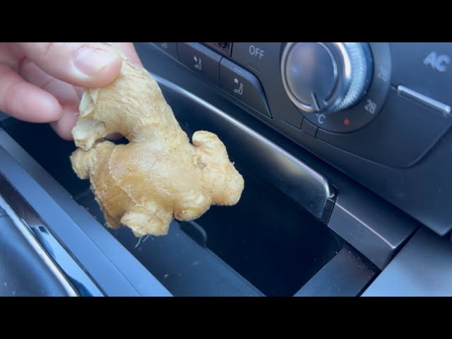 The Hidden Virtues of Keeping Ginger in Your Car