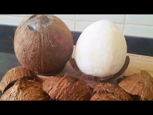 The Ultimate Guide to Peeling a Dry Coconut: Quick and Easy Method