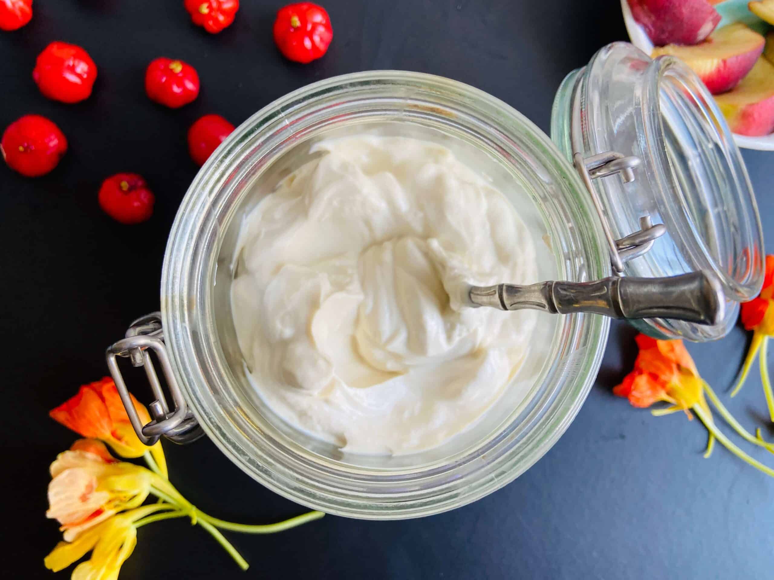 The Joy of Simplicity: One-Ingredient Wonder for Thick Vegan Yogurt