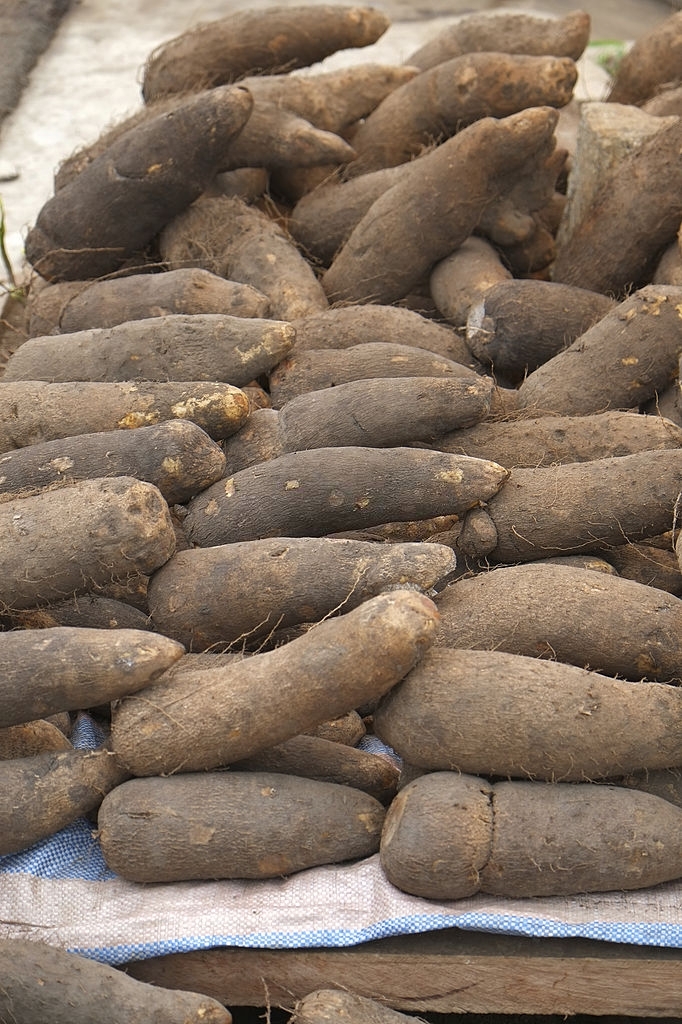 Unlock the Secrets of Yam: A Delicious Path to Health