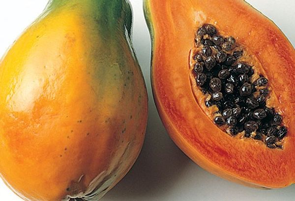 The Power of Papaya Seed Tea: A Refreshing Beverage for Your Well-being