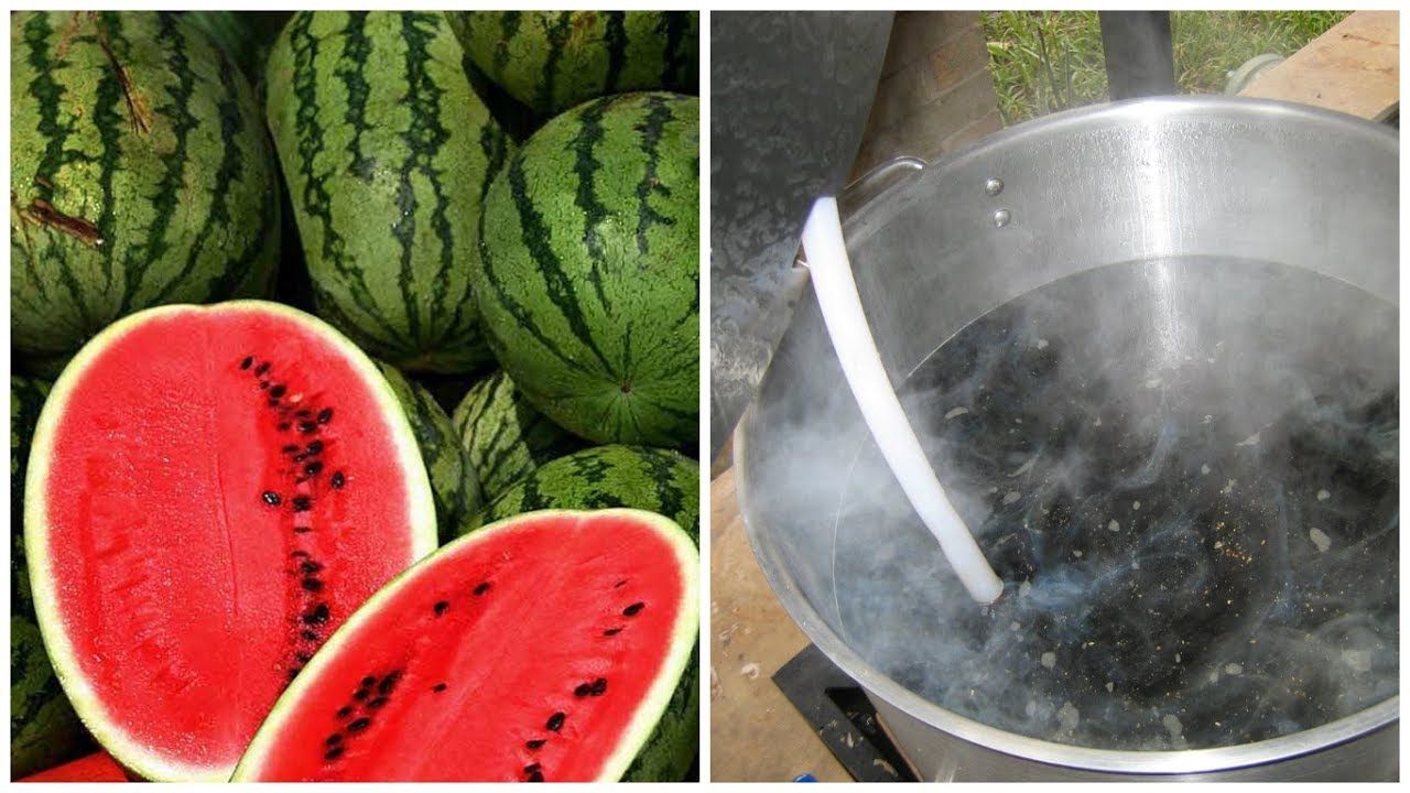 The Surprising Benefits of Boiling Watermelon Seeds: A Health Revelation