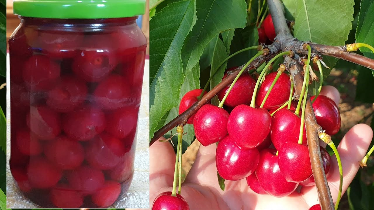 Savor the Sweetness: Sugar-Free Cherry Compote