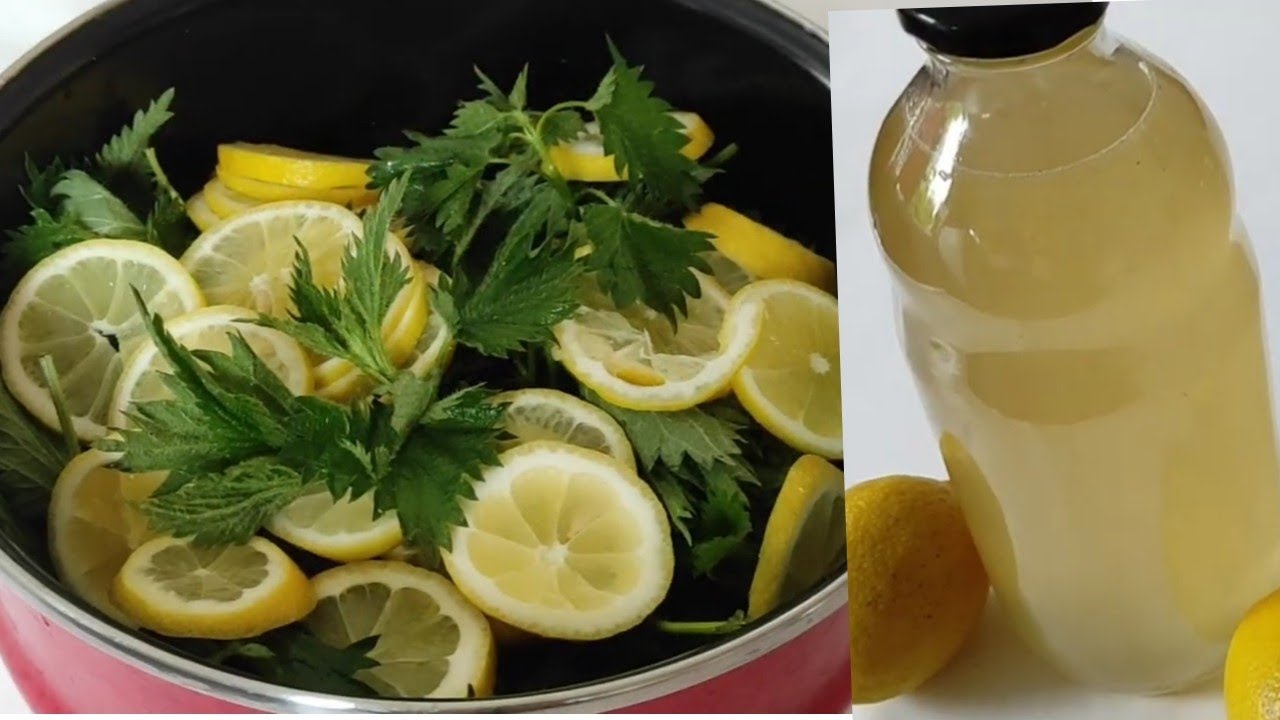 Nettle and Lemon Syrup: A Preservative-Free Delight Straight from Nature’s Pantry