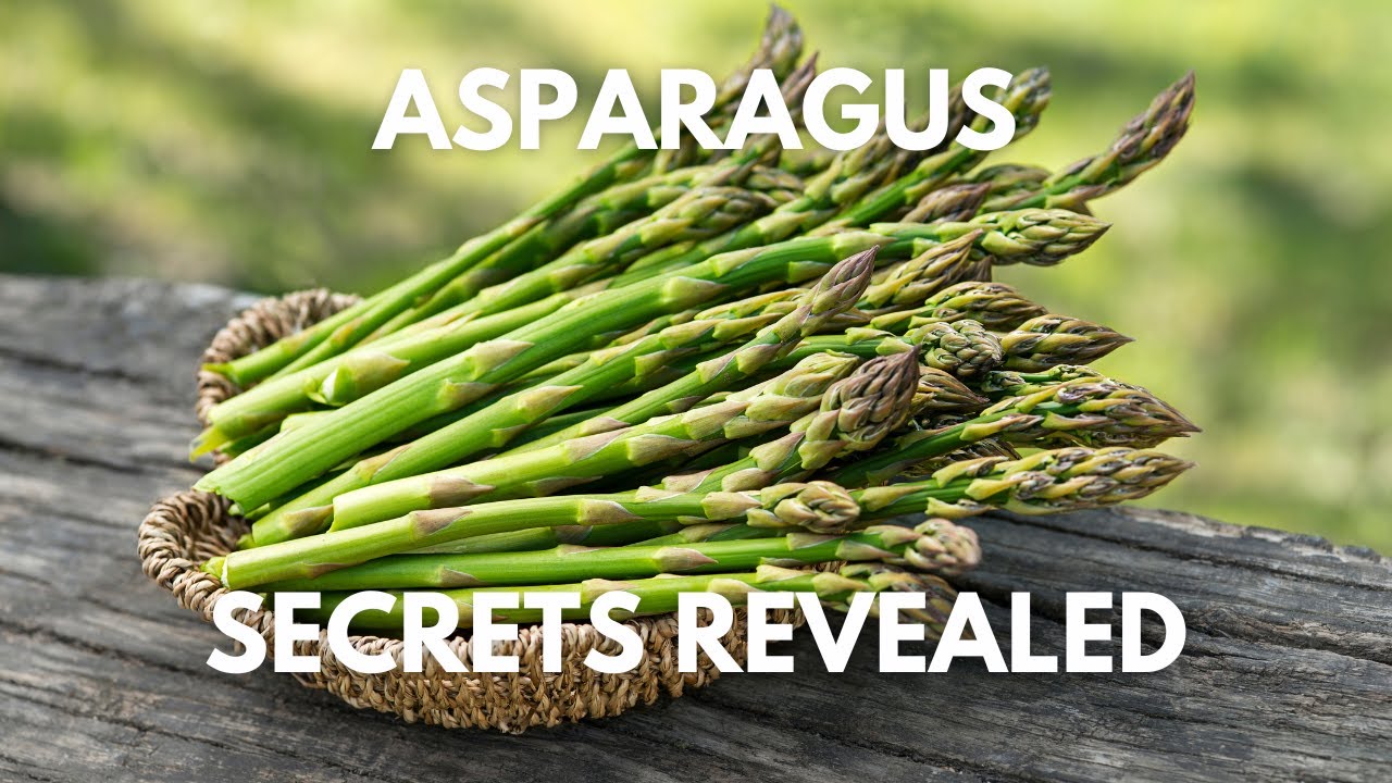 Mastering the Art of Quick and Easy Asparagus Cooking