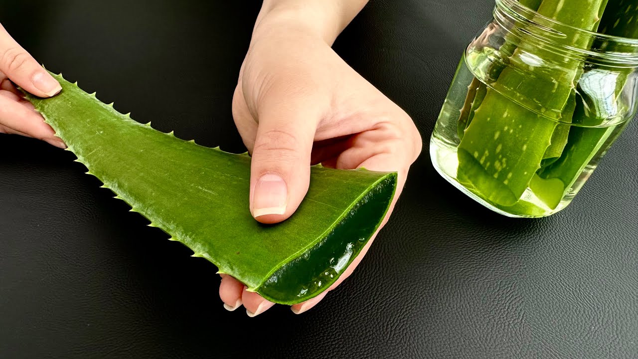 Discovering the Power of Aloe Vera: Beyond Skin Deep