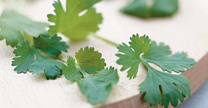 The Secret to a Youthful Glow: Parsley Face Mask