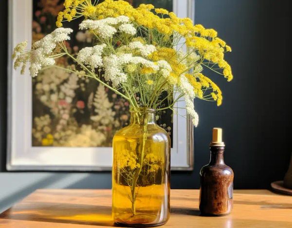 a bottle of Achillea millefolium oil