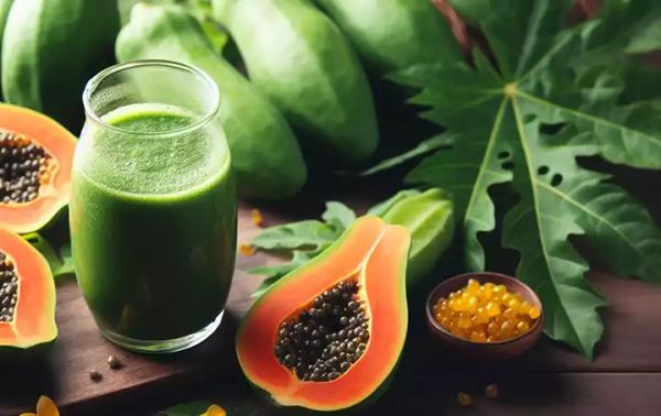 Papaya Leaves: A Natural Remedy for a Healthy and Balanced Life