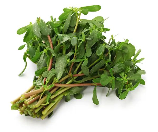 Purslane: The Incredible Superfood for Optimal Health